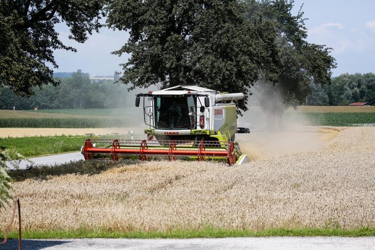 combine harvester, agriculture, harvest, combine, field, harvesting, cornfield