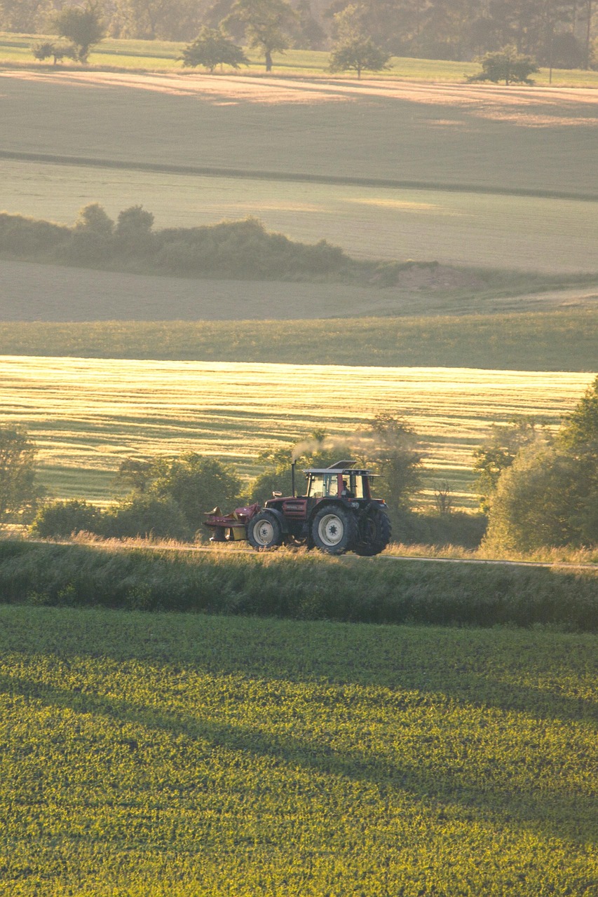 agriculture, tractor, nature, landscape, commercial vehicle, vehicle, agricultural machine, farm yard, working device