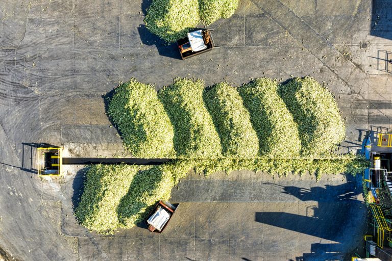 Aerial shot of corn processing facility in Plainview. Industrial agriculture.