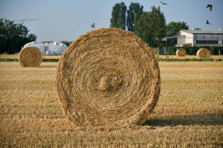 A scenic view of a hay bale in a sunlit Italian countryside field.