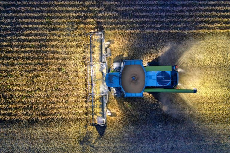 Drone shot of a combine harvester in a Minnesota cornfield during harvest season.